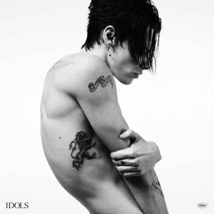 Idols cover