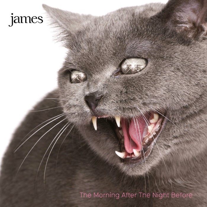 The Morning After the Night Before