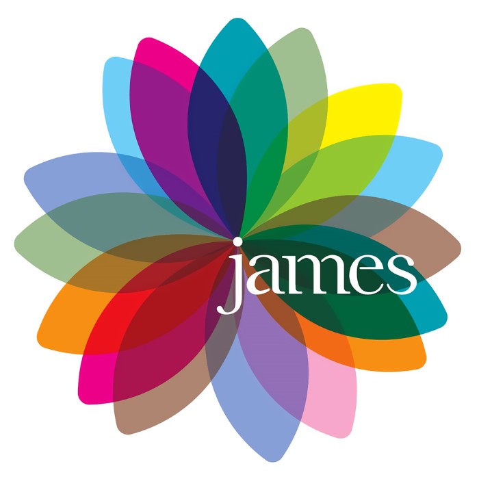 Fresh as a Daisy: The Singles by James