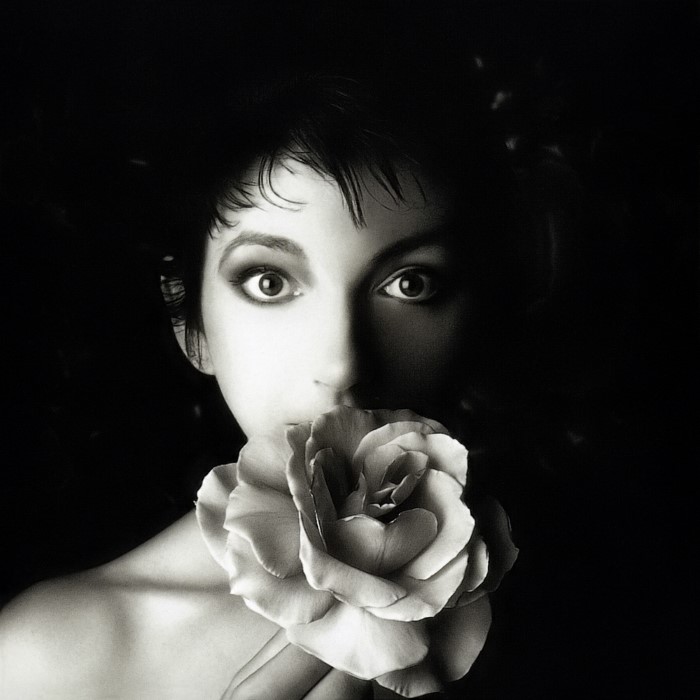 The Sensual World
