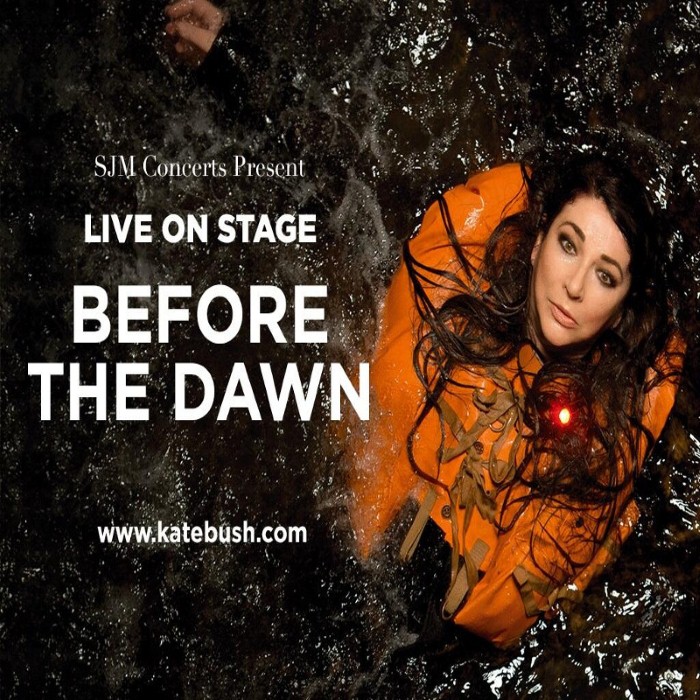 Before the Dawn (Live) by Kate Bush