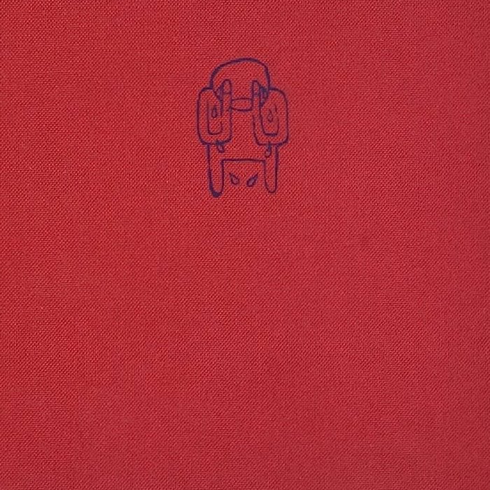 Amnesiac