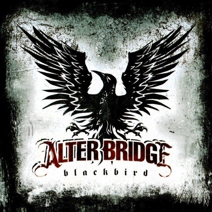 Blackbird