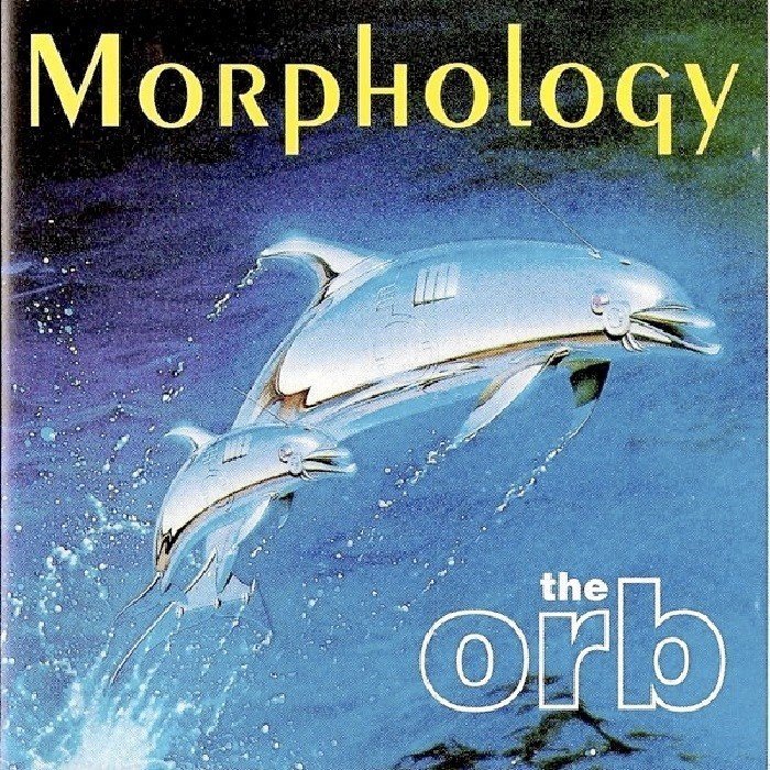 Morphology