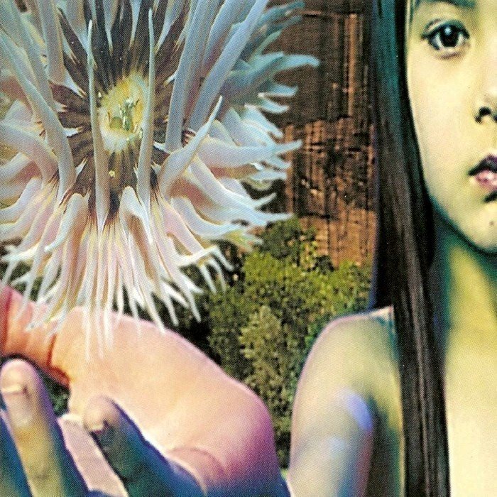 Lifeforms