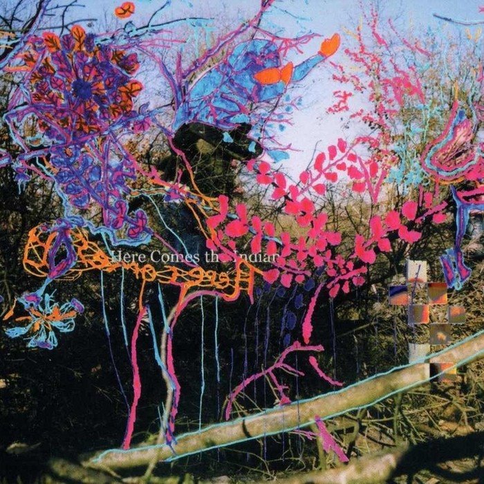 Here Comes the Indian by Animal Collective