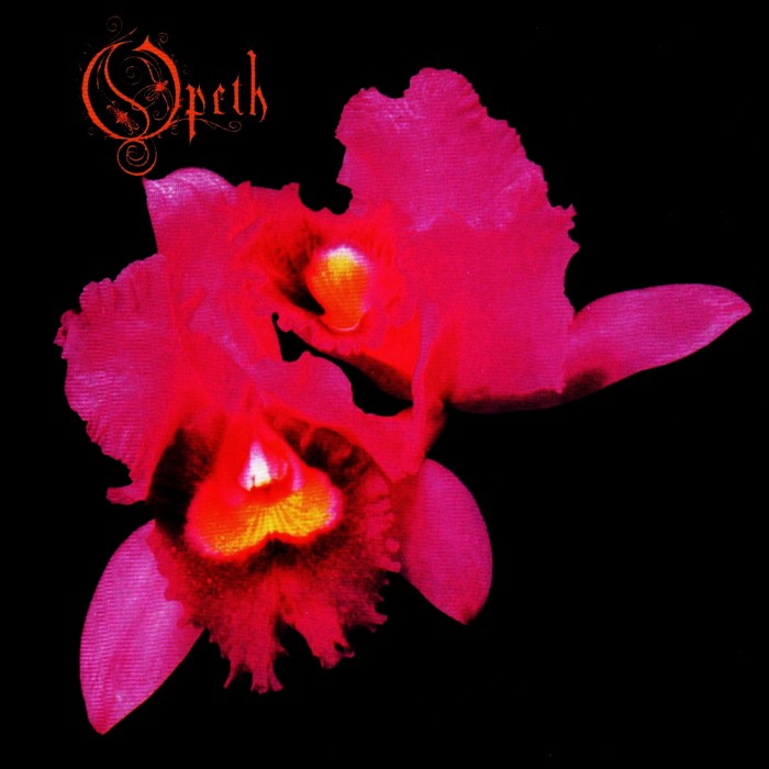 Orchid