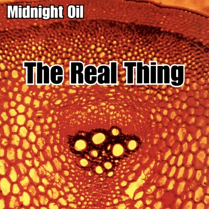 The Real Thing