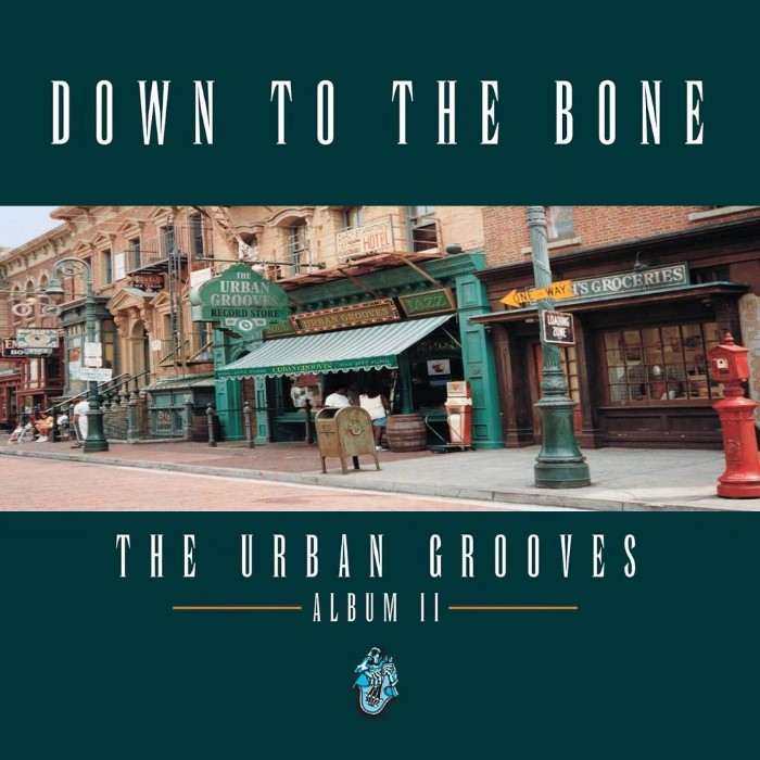The Urban Grooves: Album II