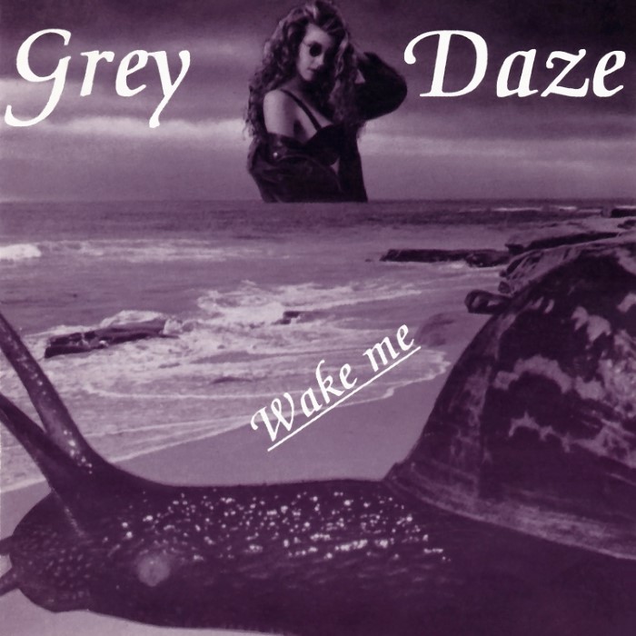 Wake Me