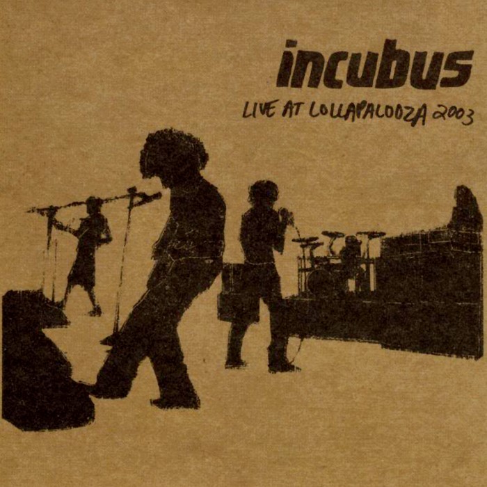 Live at Lollapalooza 2003
