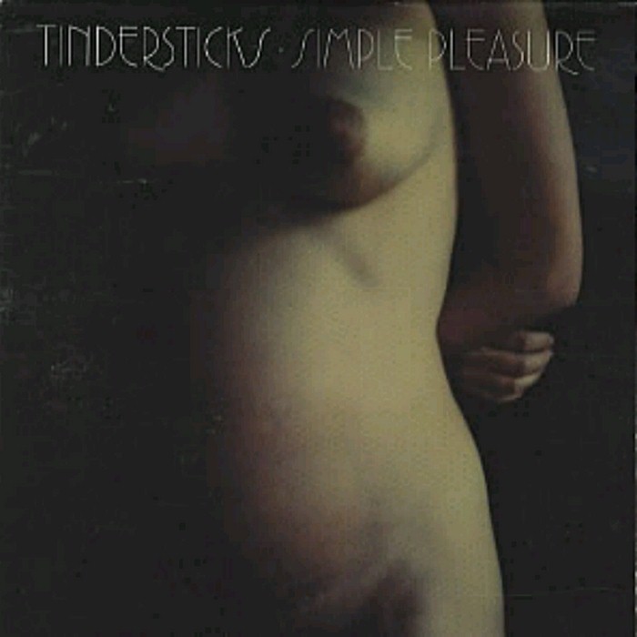 Simple Pleasure by Tindersticks