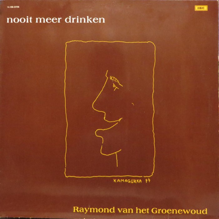 Nooit meer drinken by Raymond van het Groenewoud