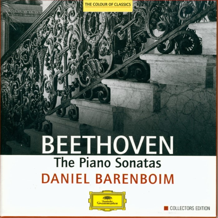 The Piano Sonatas