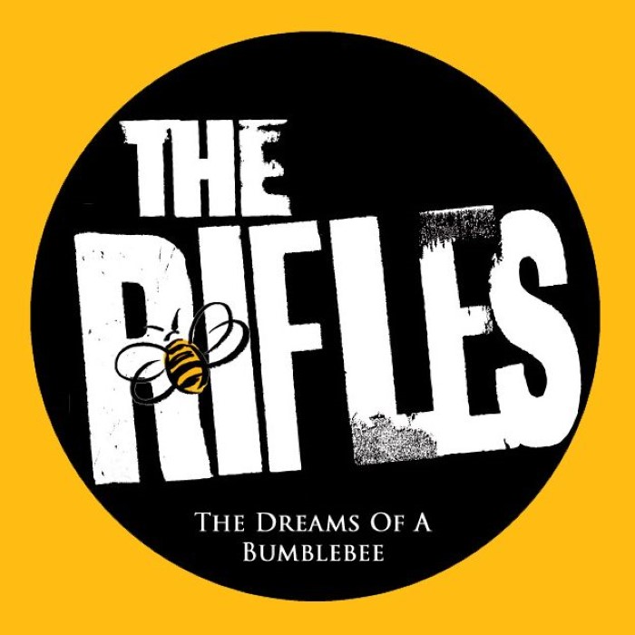 The Dreams of a Bumblebee by The Rifles