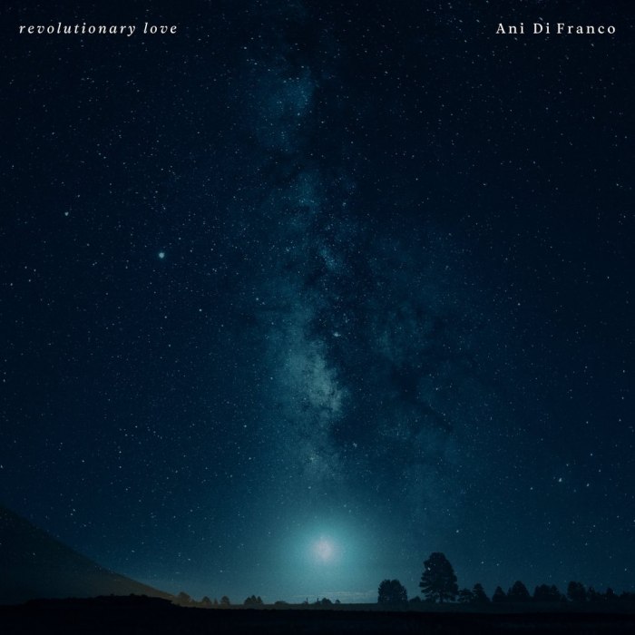 Revolutionary Love by Ani DiFranco