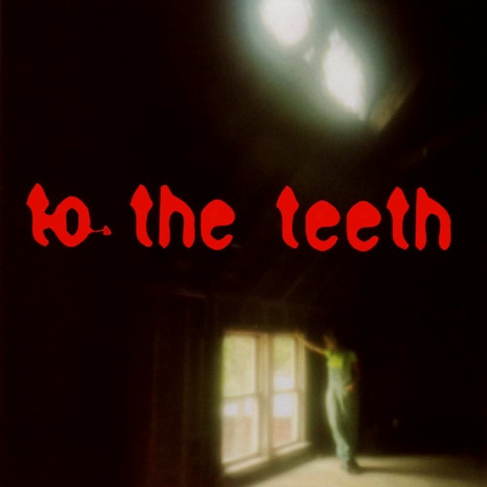 To the Teeth by Ani DiFranco
