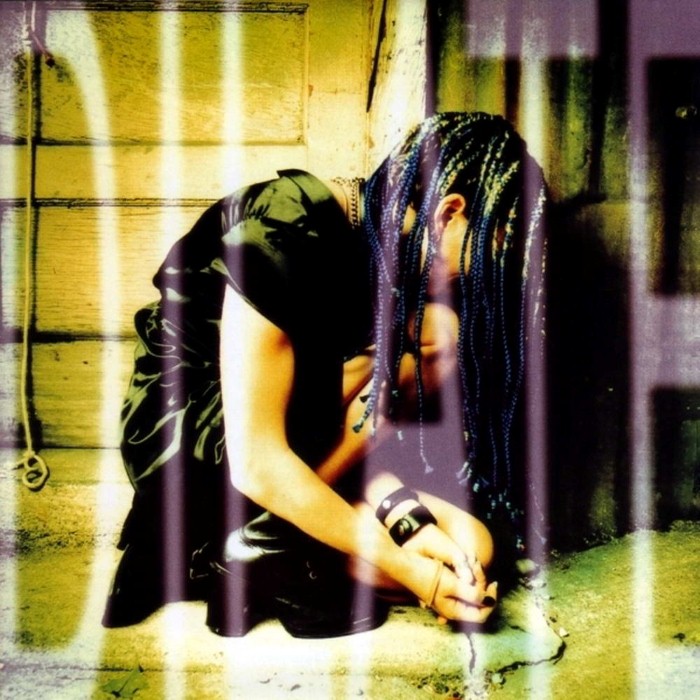 Dilate by Ani DiFranco