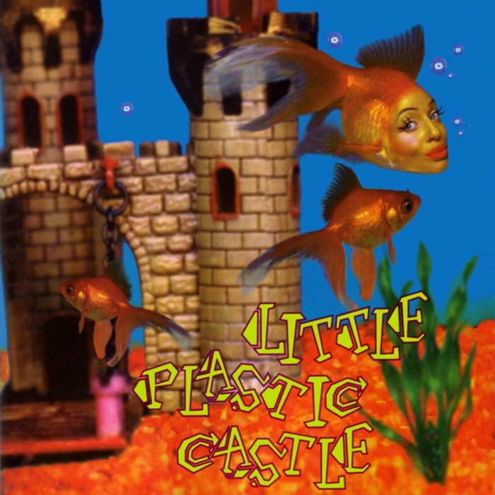 Little Plastic Castle by Ani DiFranco