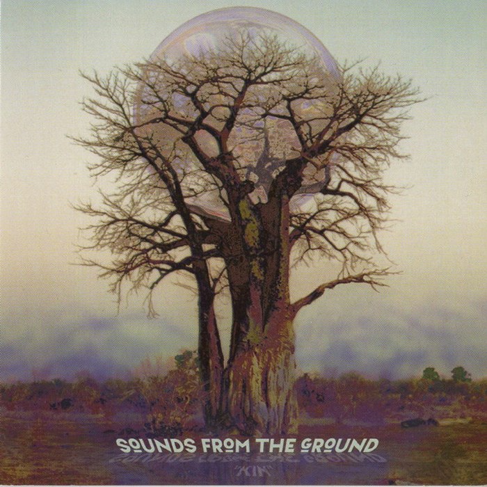 Kin by Sounds From the Ground