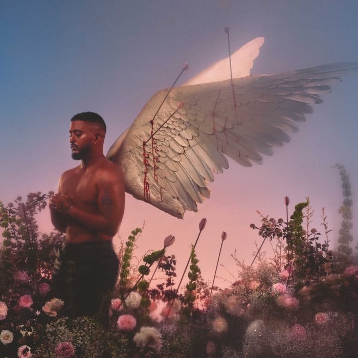 Chroniques d'un cupidon by Slimane
