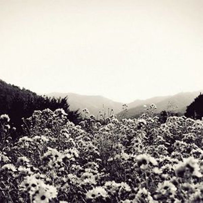 The Bull Head Emperor by Chihei Hatakeyama