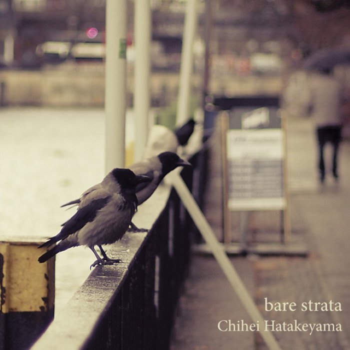 Bare Strata by Chihei Hatakeyama
