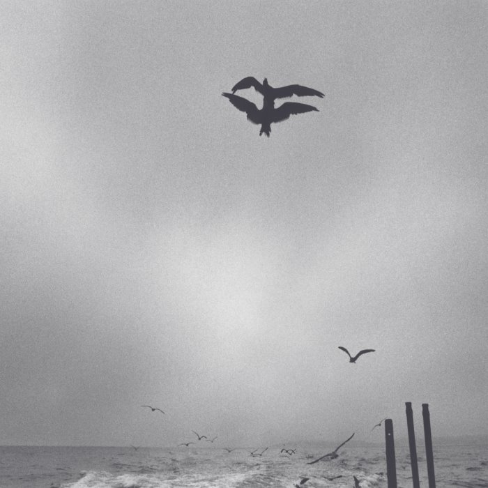 Saunter by Chihei Hatakeyama