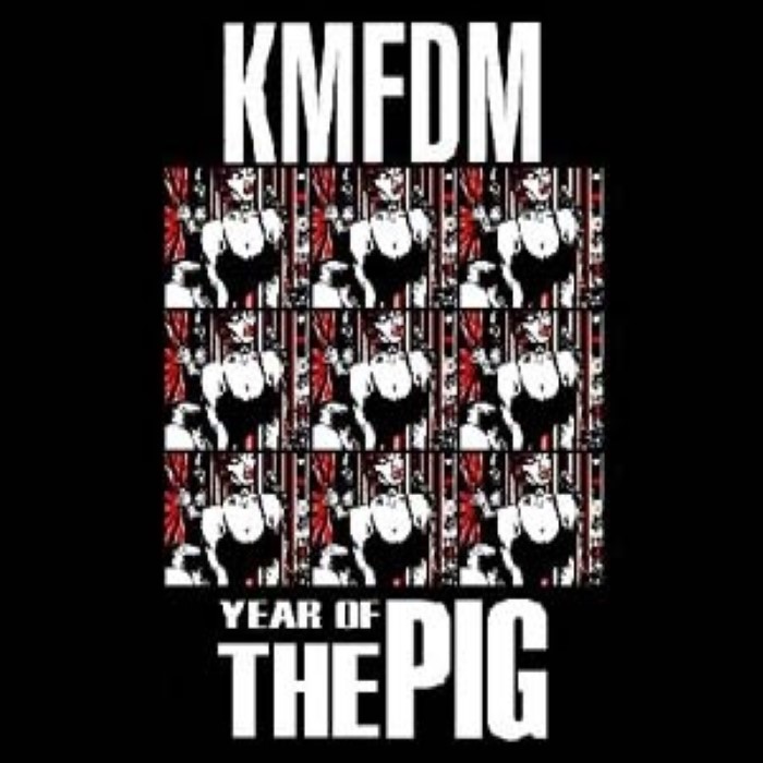 Year of the Pig