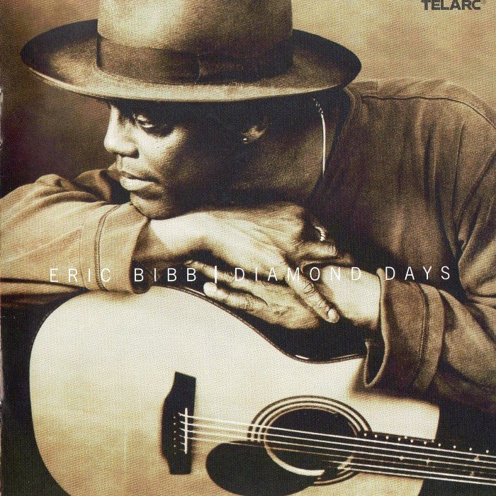 Diamond Days by Eric Bibb