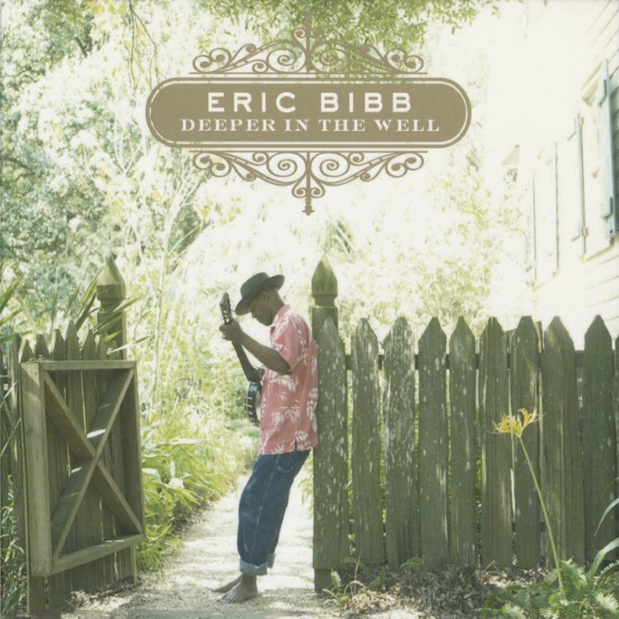 Deeper in the Well by Eric Bibb