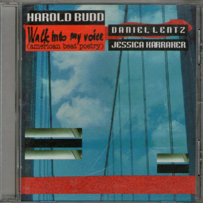 Walk Into My Voice (American Beat Poetry) by Harold Budd