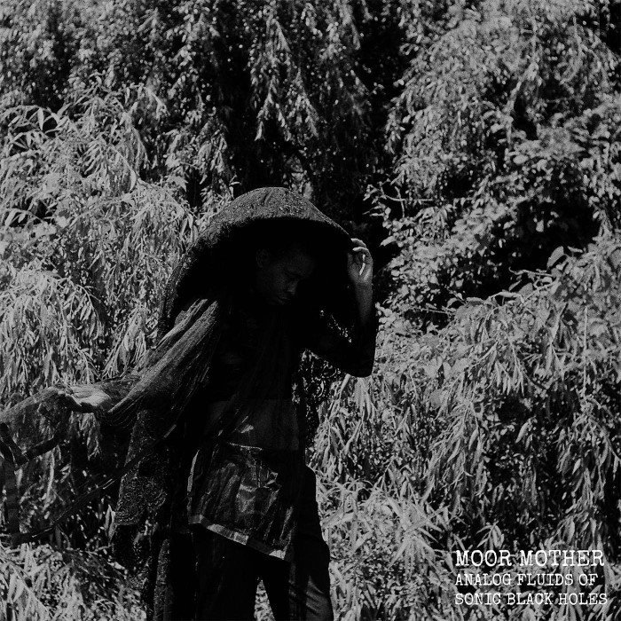 Analog Fluids of Sonic Black Holes by Moor Mother