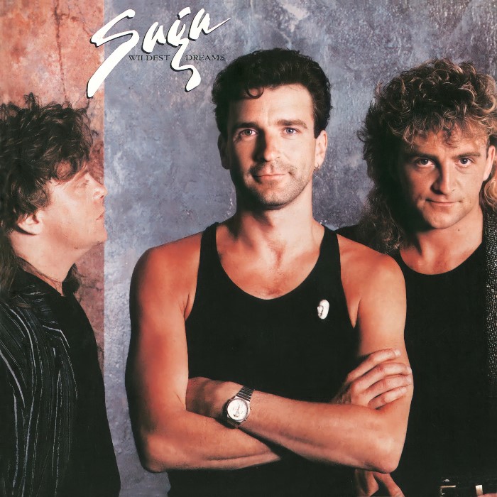 Wildest Dreams by Saga