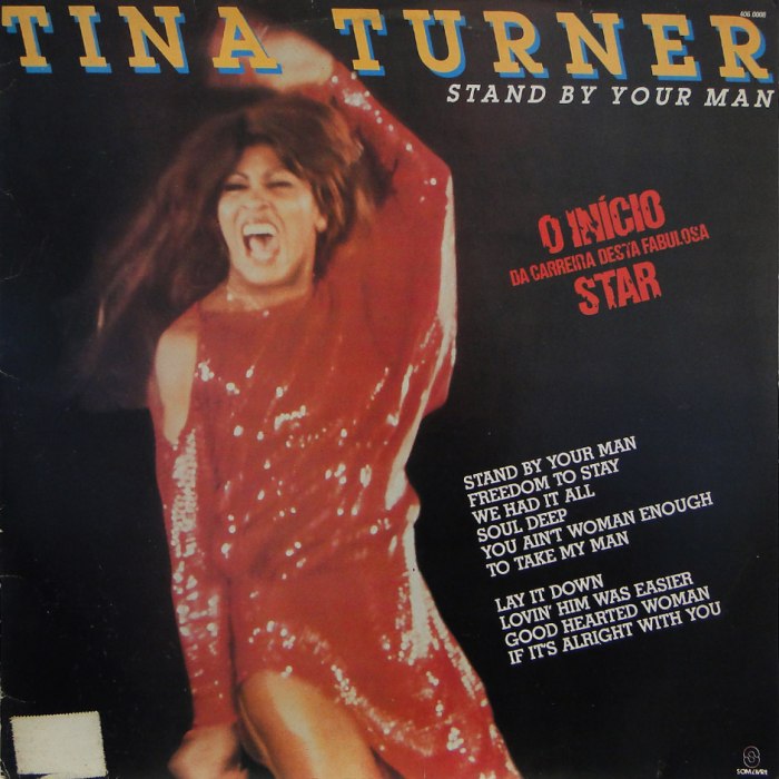 Stand by Your Man by Tina Turner
