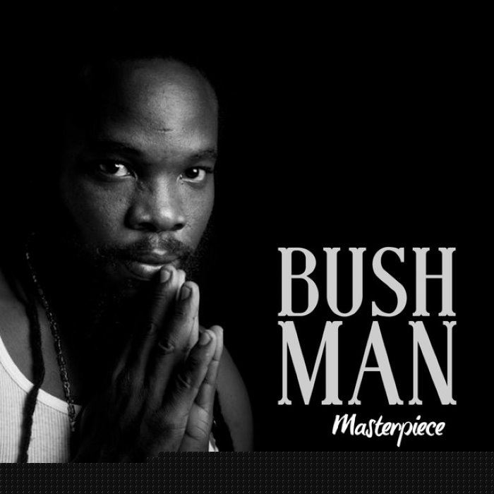 Masterpiece (Deluxe Version) by Bushman