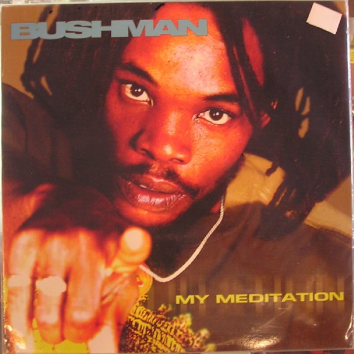 My Meditation by Bushman
