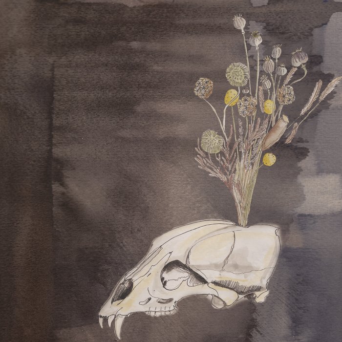 Seasonal Hire by Steve Gunn