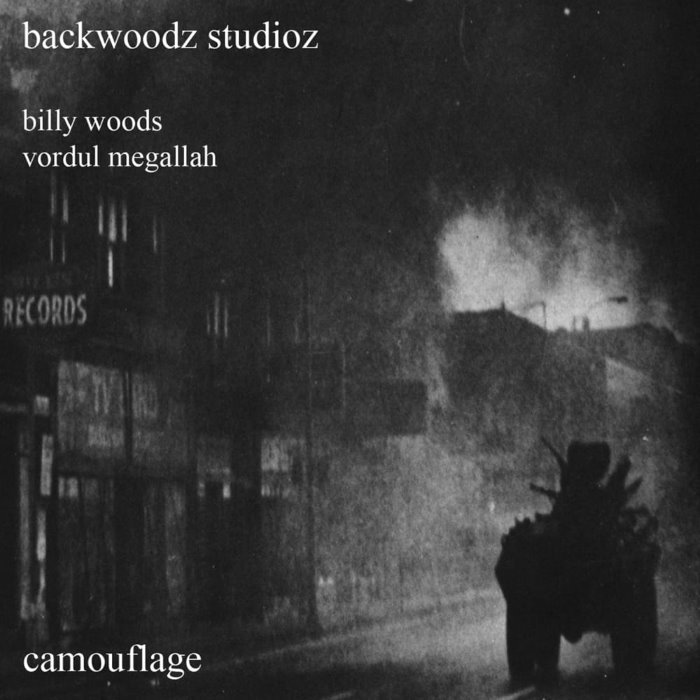Camouflage by billy woods