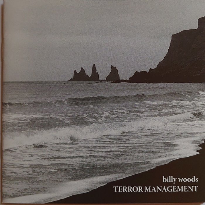 Terror Management by billy woods
