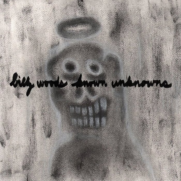 Known Unknowns