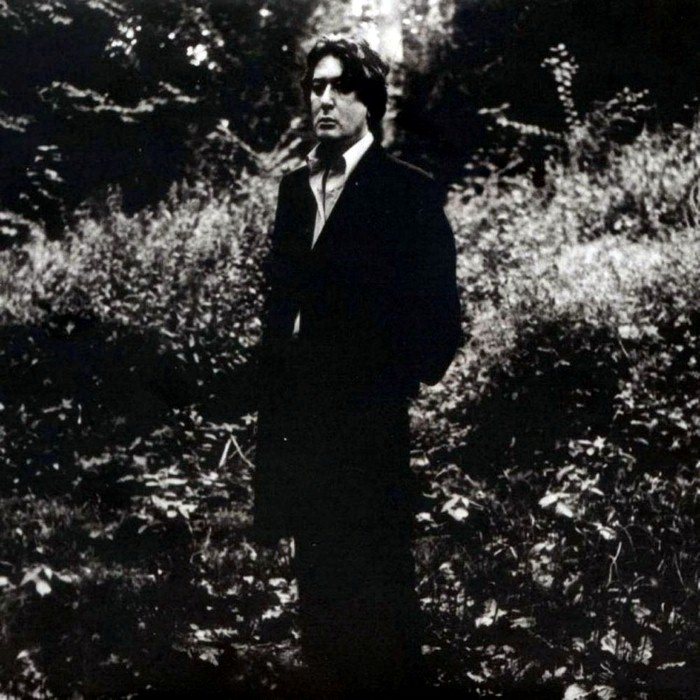 L'Imprudence by Alain Bashung