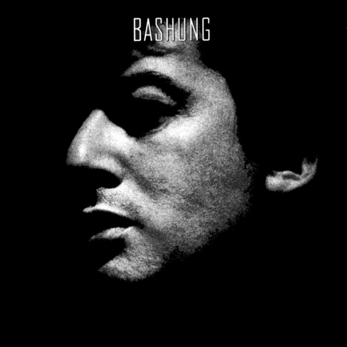 Novice by Alain Bashung
