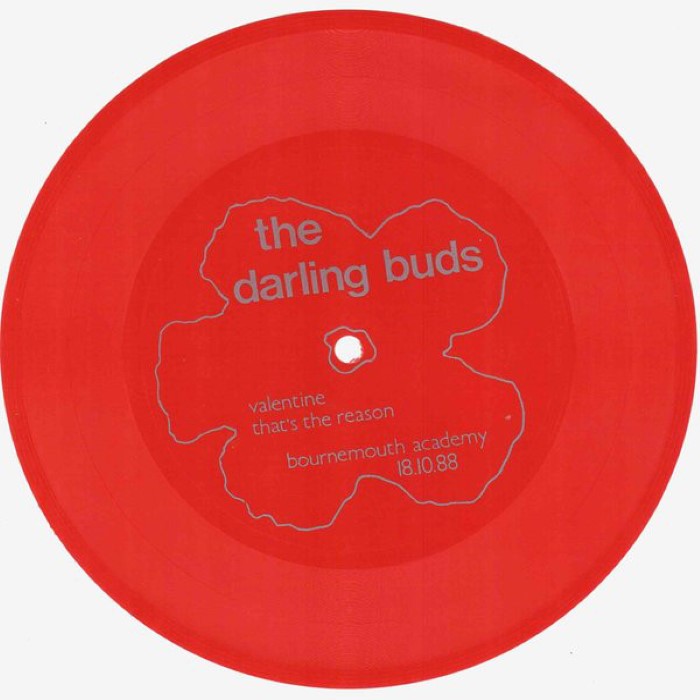 Live At Bournemouth Academy 18.10.88