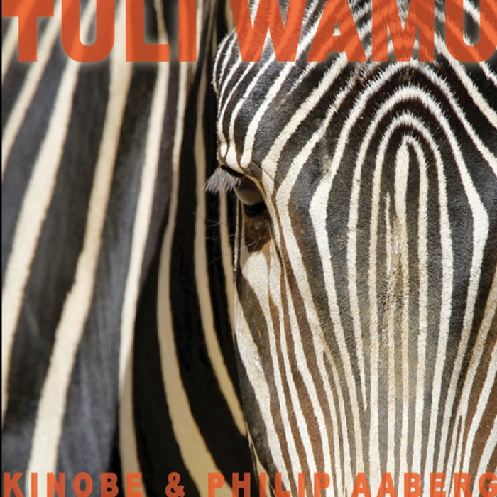 Tuli Wamu by Kinobe