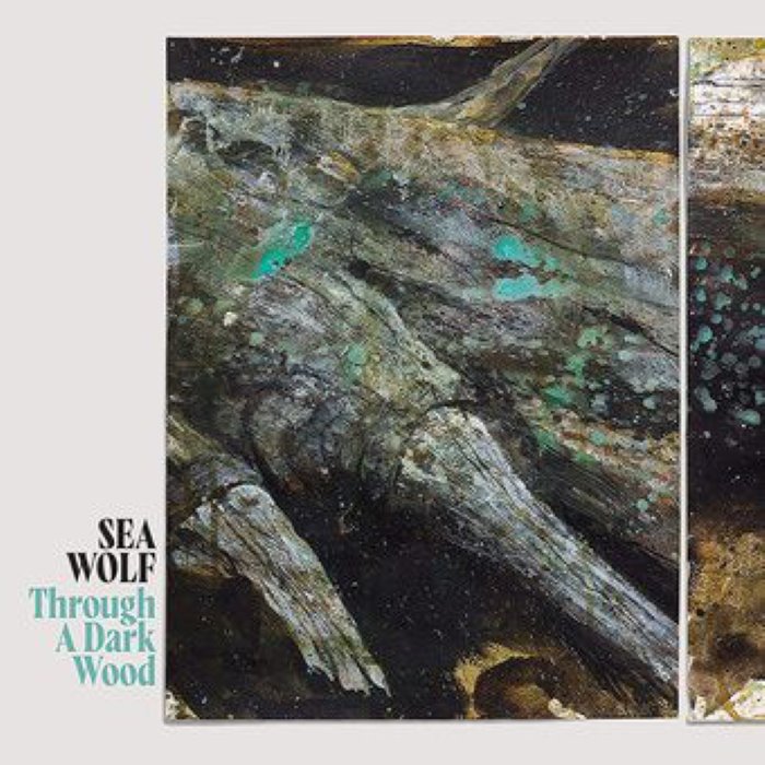Through a Dark Wood by Sea Wolf