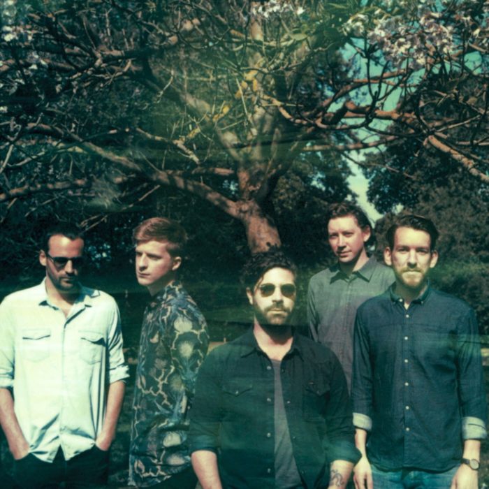 Foals