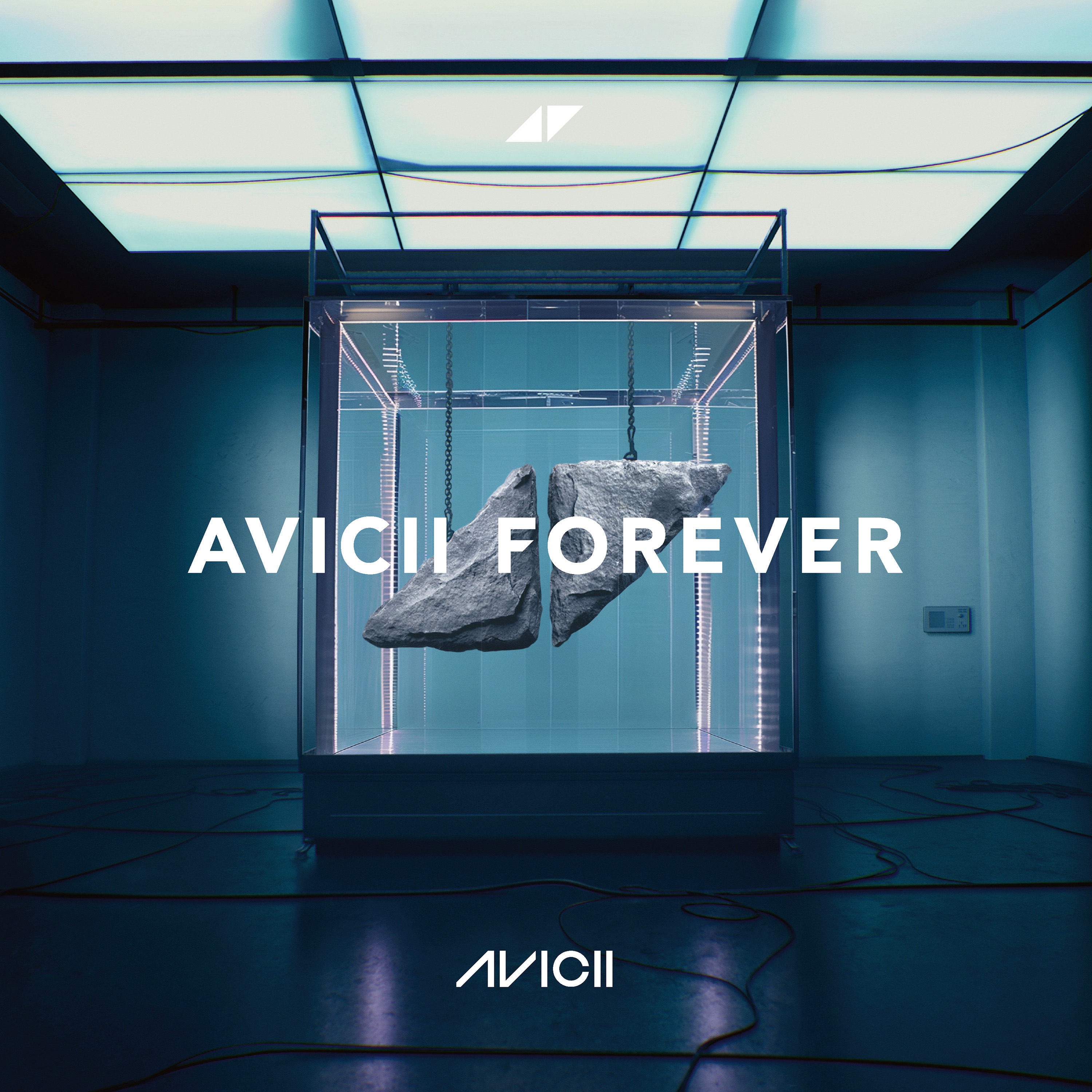 Avicii Forever by Avicii