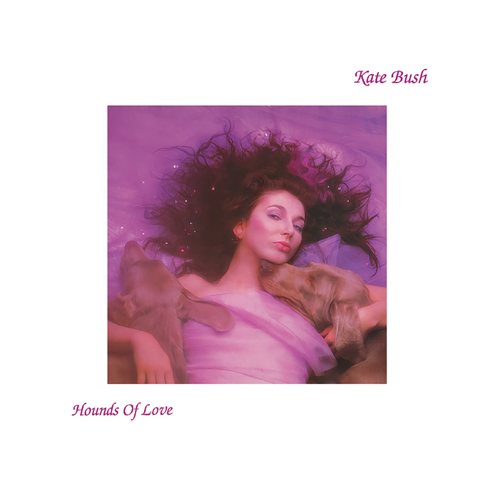 Hounds of Love by Kate Bush