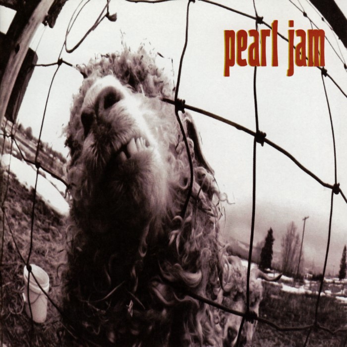Vs. by Pearl Jam